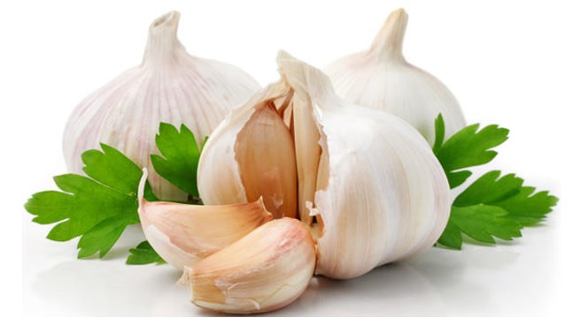 garlic-655x360