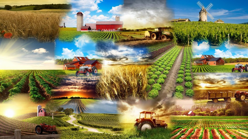 agriculture