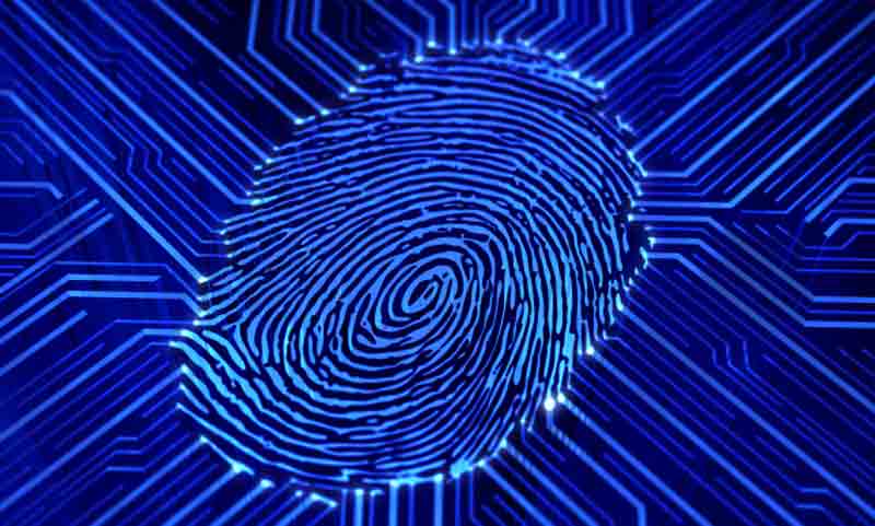 fingerprint