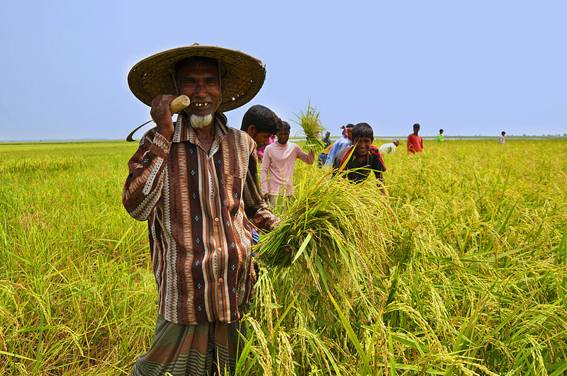 farmer