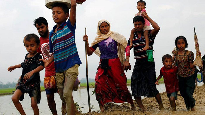 rohingya