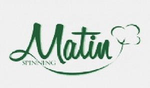 motin-spinning-