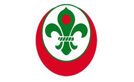 rover-scout