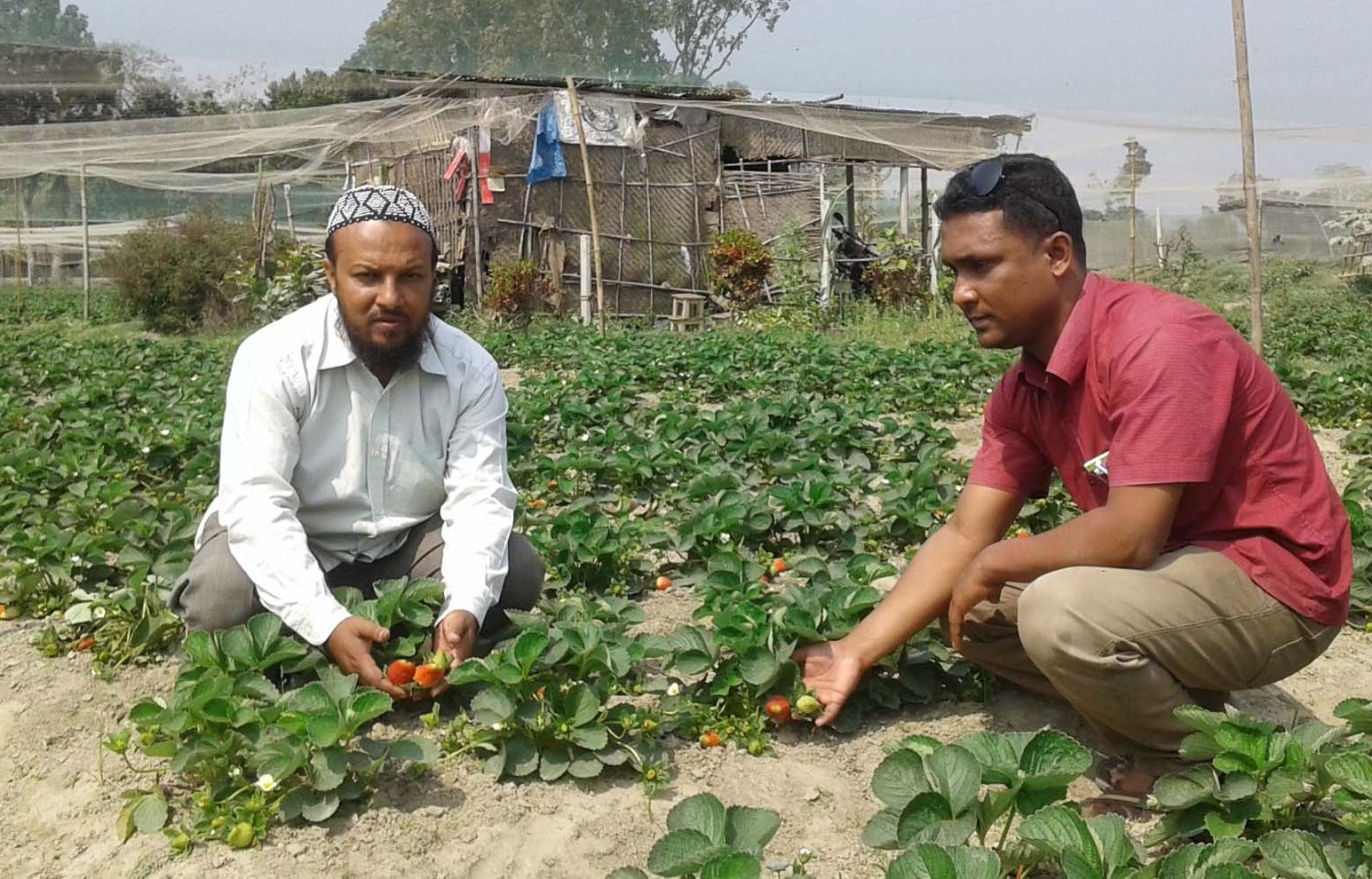 Naogaon Pic