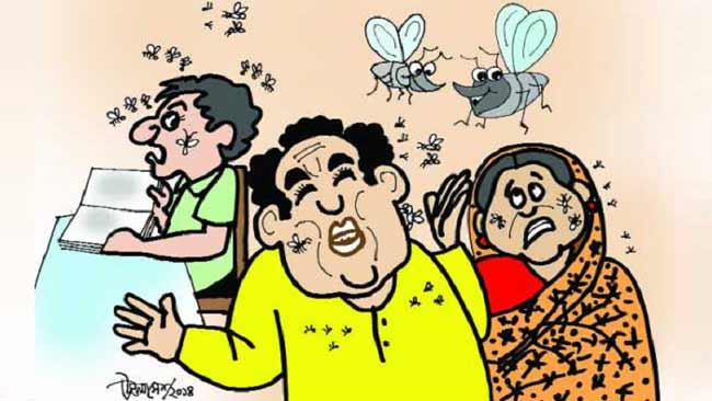 mosquito