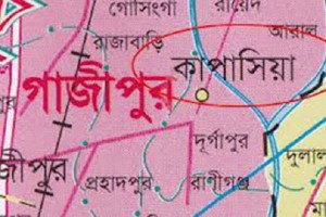 কাপাসিয়া