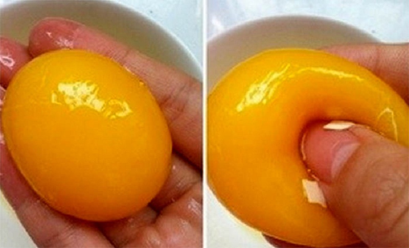 Egg