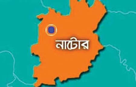 নাটোর
