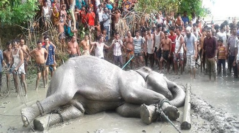 বঙ্গ
