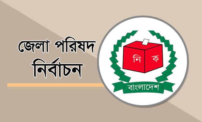 dist-election