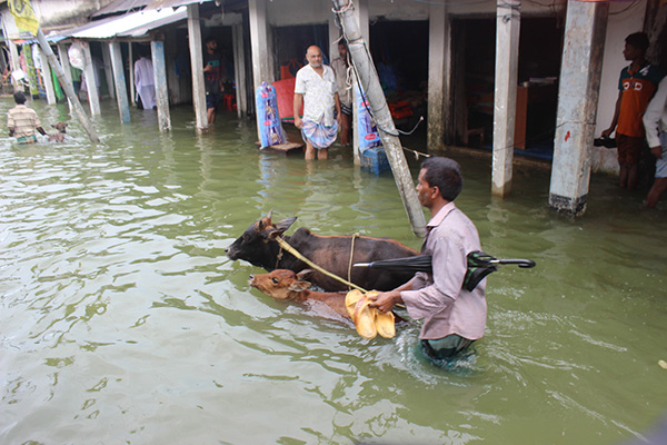 Sylhet