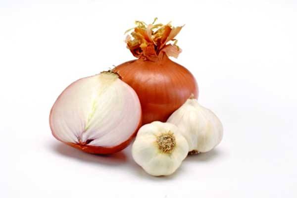 Onion